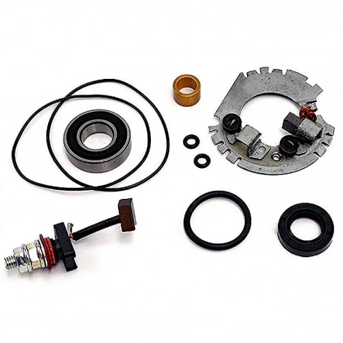 kit revision motor de arranque con portaescobillas 04178491