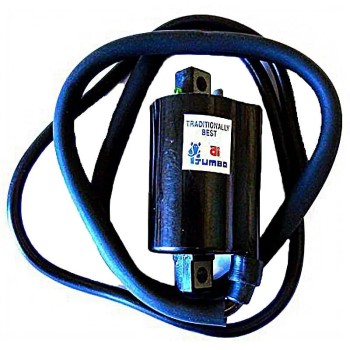 bobina 12v cc ohm 2 fastons con cable 110 04010557