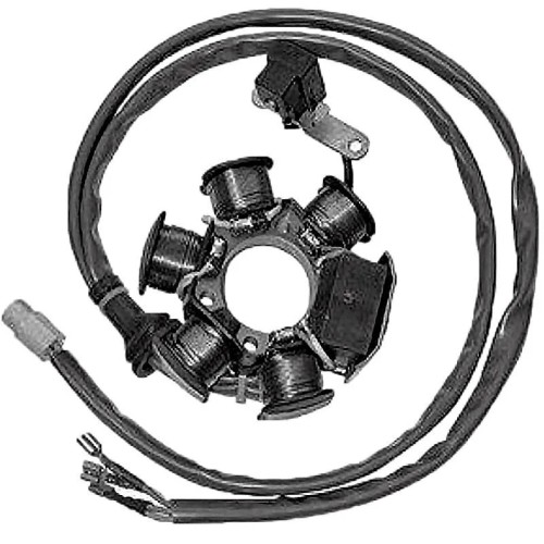 stator sgr 6 polos 12v 90w motor piaggio 50 2t 04293499