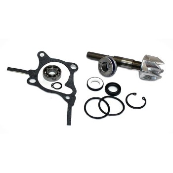 kit reparacion bomba de agua honda foresight 250 37282010