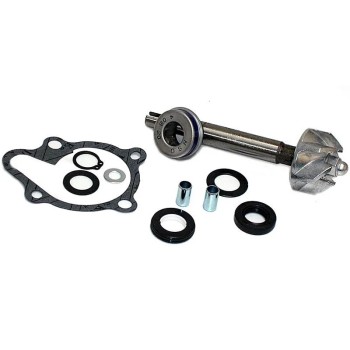 kit reparacion bomba de agua kymco dink 125 200 37282014