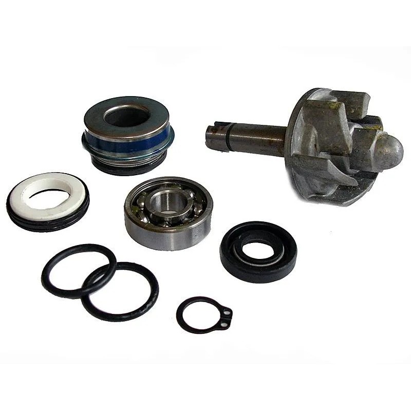 kit reparacion bomba de agua aprilia leonardo 250 37282028