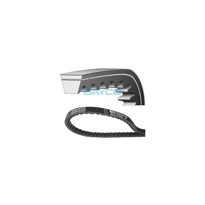 correa dayco para moto piaggio vespa fi2