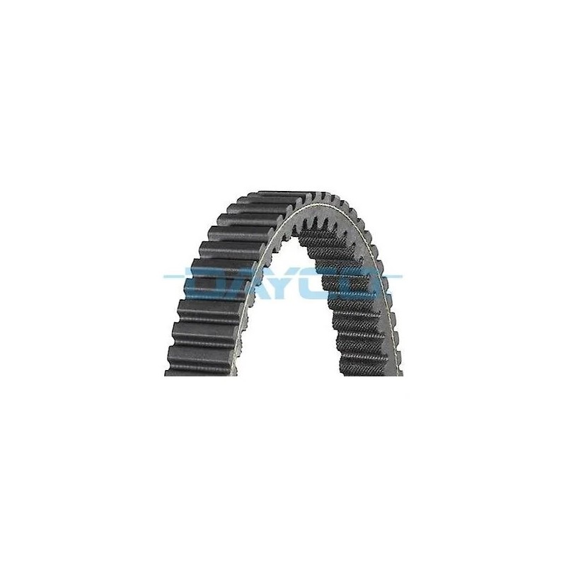 correa dayco para suzuki aprilia piaggio