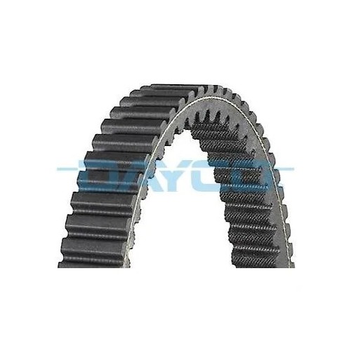 correa dayco para suzuki aprilia piaggio