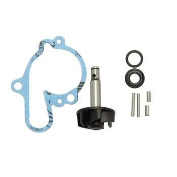 kit reparacion bomba de agua para motor minarelli am6