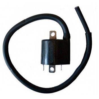 bobina mitsubishi f6t559 12v 3 6ohm 2 contactos c 04161206