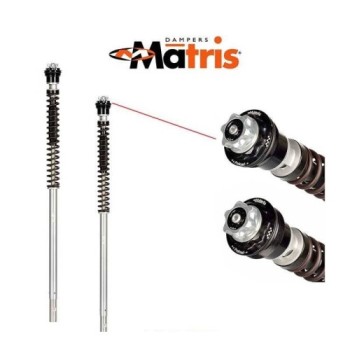 kit de cartuchos de horquilla matris f20k para benelli trk 502x f20b110k