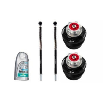 kit de cartucho de horquilla matris f25r x f25k210rx para ktm 1390 super duke r 2024 2