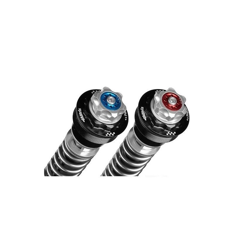 cartuchos de horquilla matris f25sa f25y155sa para yamaha yzf r7 2021 modelos rm39 40