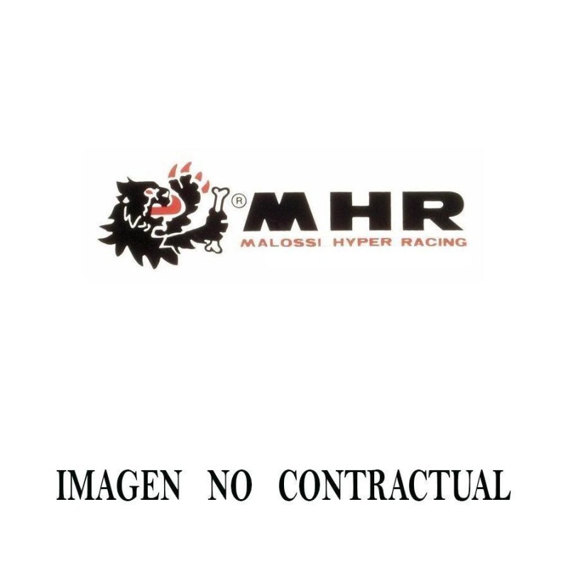 silenciador tubarro motor mg3 malossi 16325321