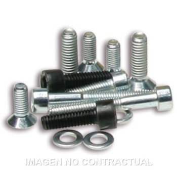 tornilleria encendido rotor interno piaggio 1911555b