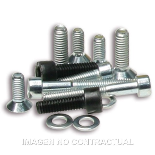 tornilleria encendido rotor interno piaggio 1911555b