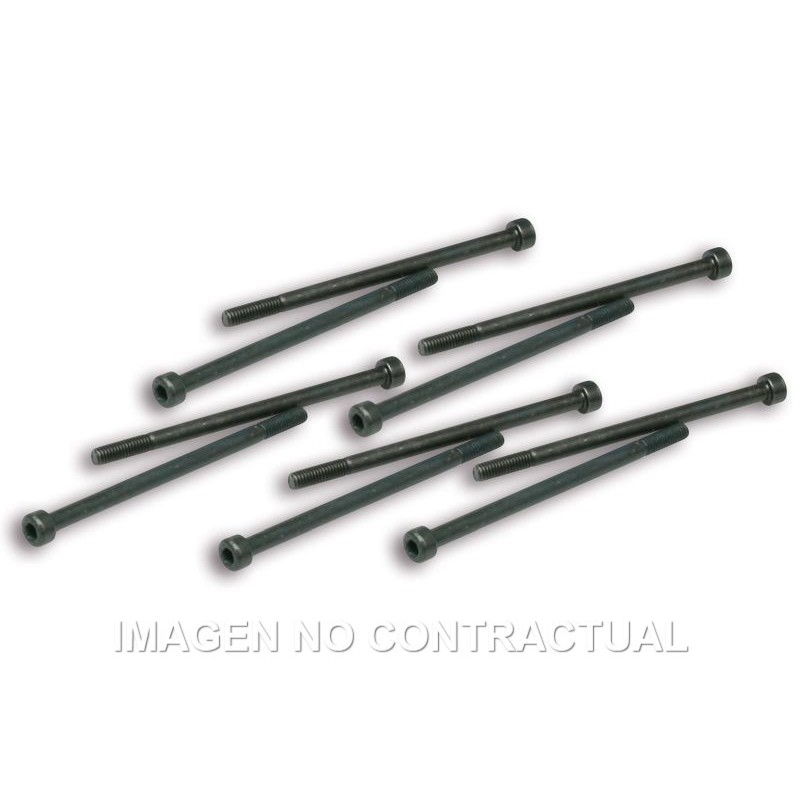 tornillos fijacion pinzas variador malossi competi 191228j0