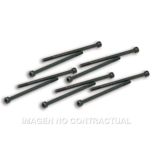 tornillos fijacion pinzas variador malossi competi 191228j0