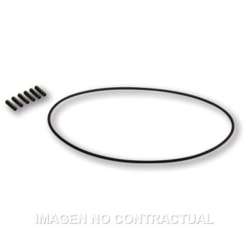 tornilleria encendido malossi vespower 5517175 1917368