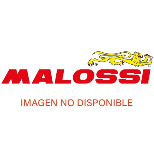 brida fijacion silencioso escape malossi trofeo 218839