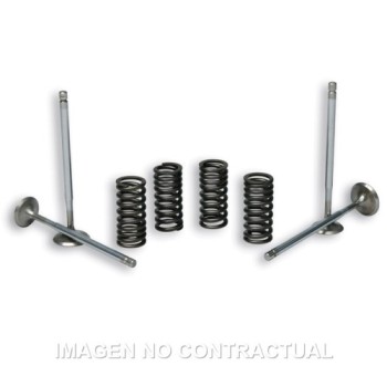 valvulas malossi c muelles motor piaggio leader 2714047
