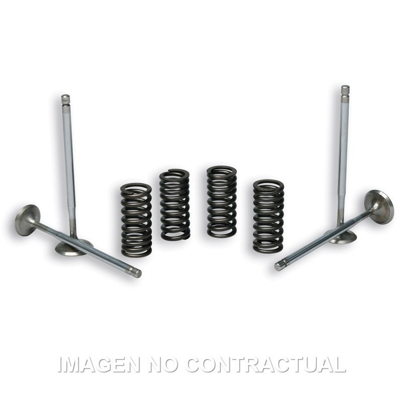 valvulas malossi c muelles motor piaggio leader 2714047
