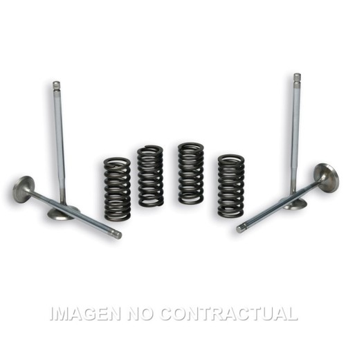 valvulas malossi c muelles motor piaggio leader 2714047