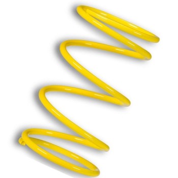muelle polea conducida amarillo motor leadrch 2916459y0