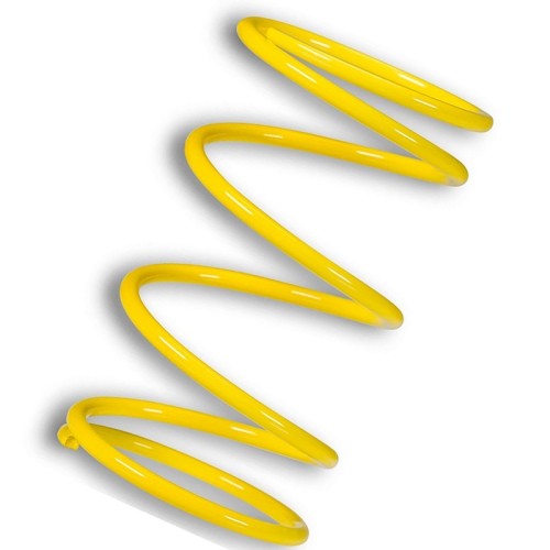 muelle polea conducida amarillo motor leadrch 2916459y0