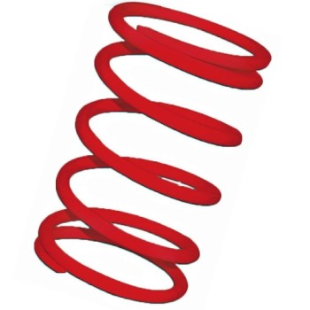 muelle polea conducida rojo motor leadrch 2916460r0
