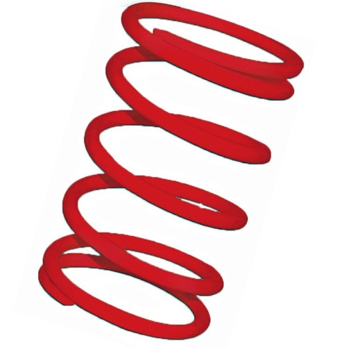 muelle polea conducida rojo motor leadrch 2916460r0