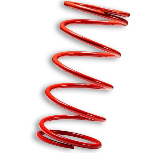 muelle polea conducida rojo piaggio 400 500 2916508r0