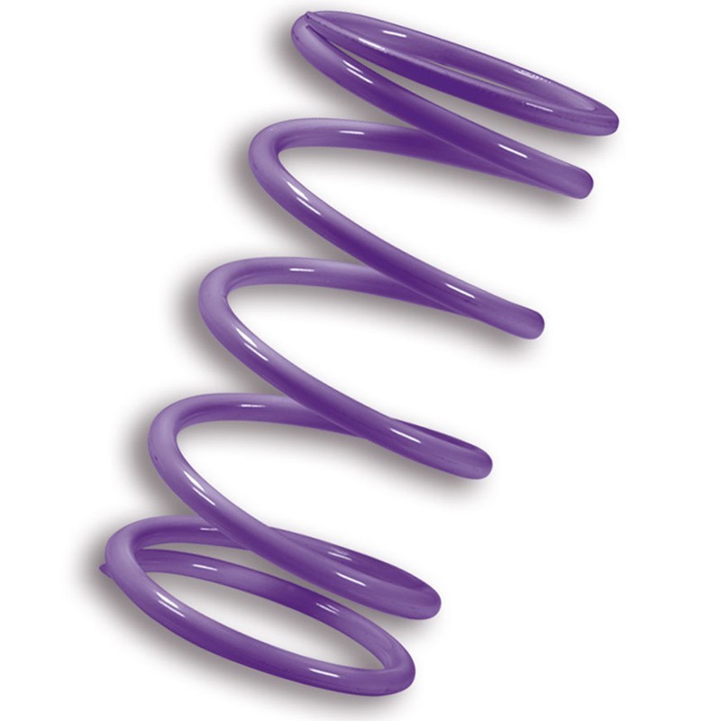 muelle polea conducida malossi violeta kymco ak550 2917874v0