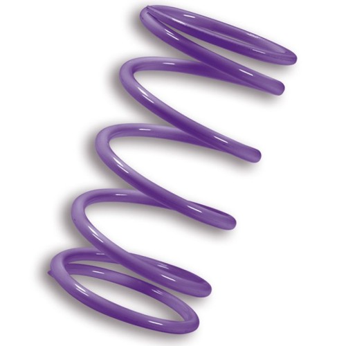 muelle polea conducida malossi violeta kymco ak550 2917874v0