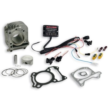 cilindro completo malossi i tech piaggio liberty i 3117439