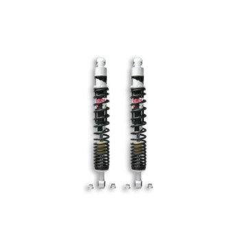 amortiguadores traseros malossi twin shock piaggio 4614789