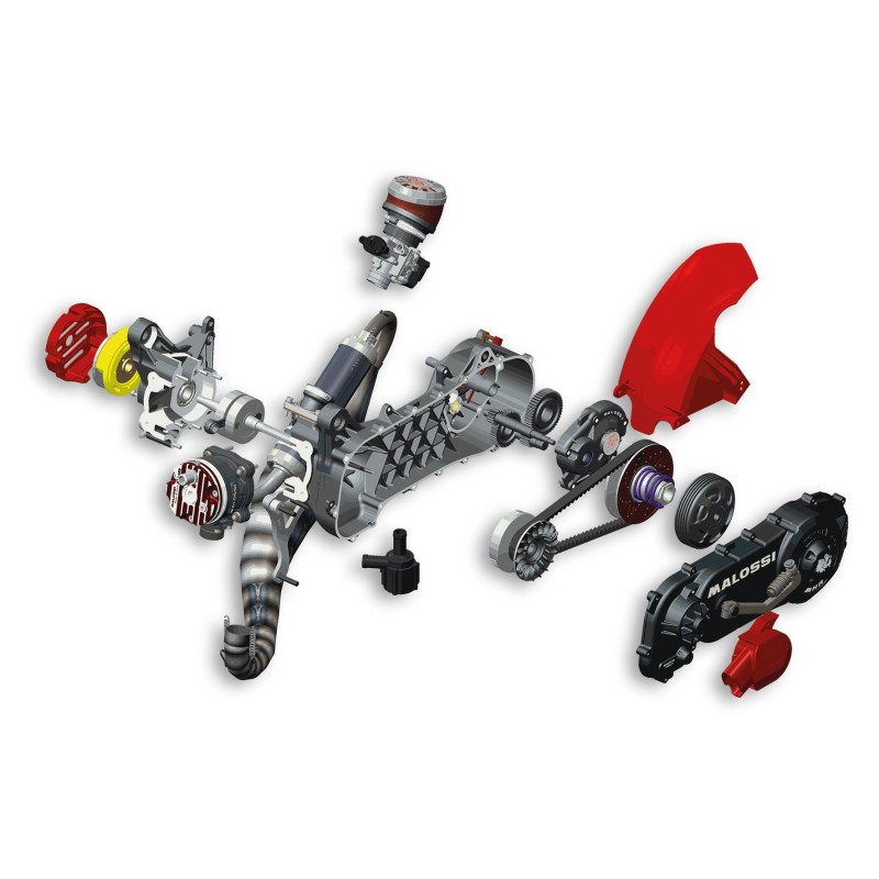 motor malossi completo rc one minarelli 4917546