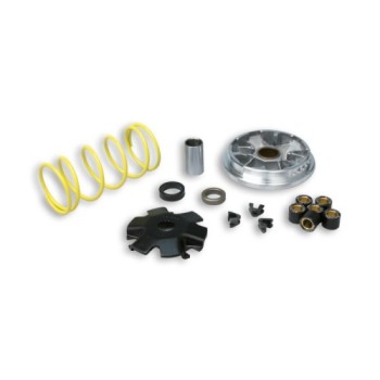 variador multivar derbi predator lc 5111151