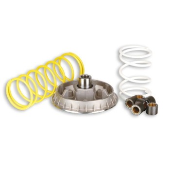 variador multivar 2000 foresight 250 5111226