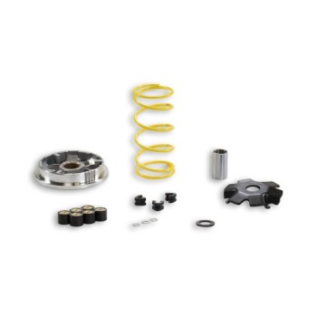 variador multivar suzuki address 100 5112026