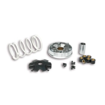 variador multivar peugeot v clic 50 4t 5113139