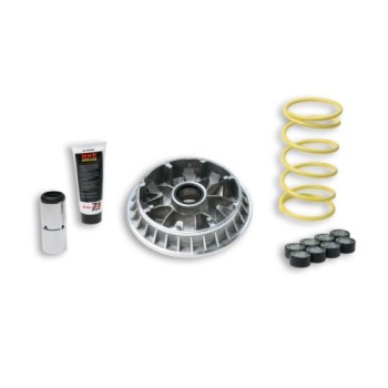 variador multivar suzuki burgman 400 k7 5114263
