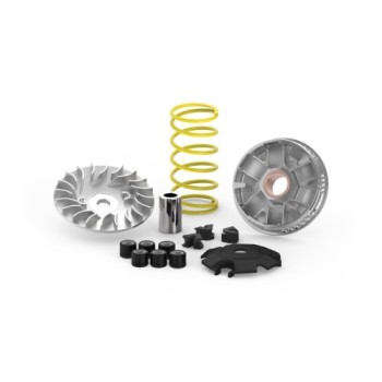 variador malossi multivar yamaha delight 125 5118401