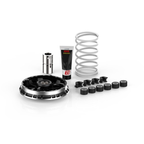 variador multivar malossi bmw c 400 x 5118750