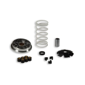 variador multivar piaggio freetyphoon nrg storm 517382