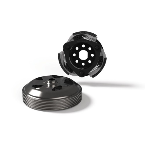 maxi delta system malossi vespa primavera iget 125 5217667