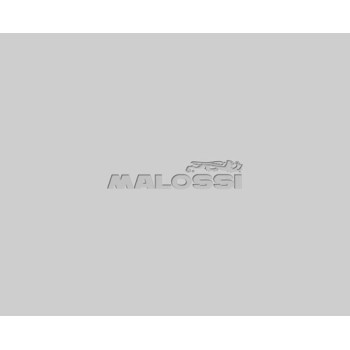 cigenal malossi mhr team motor minarelli 5317827
