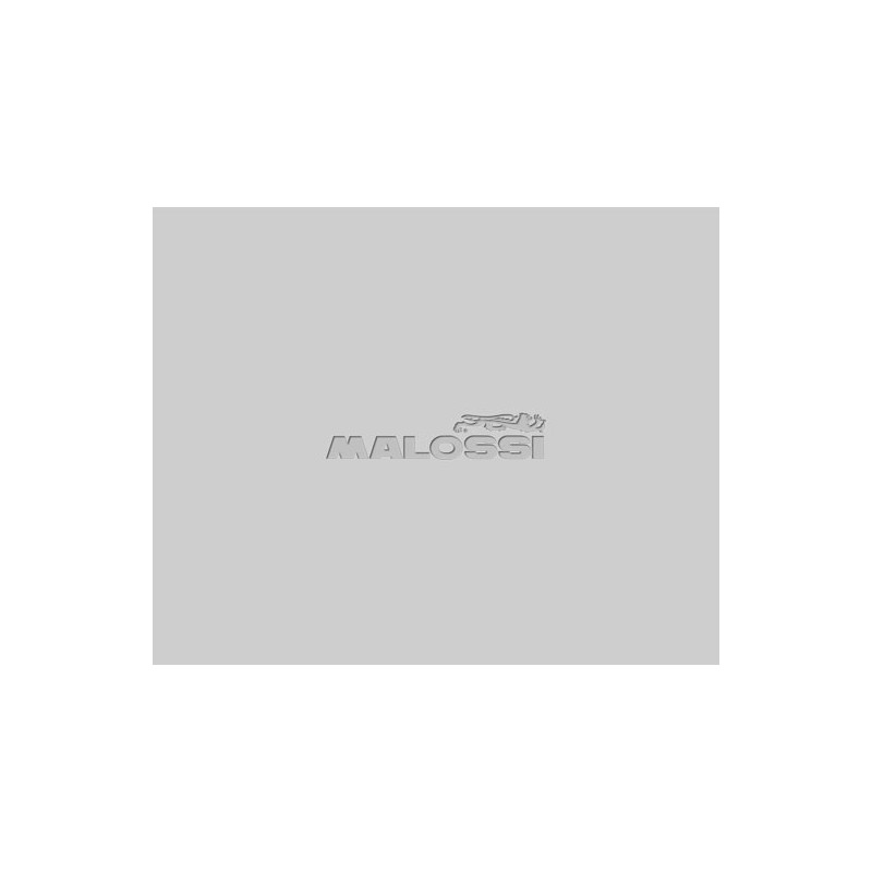 cigenal malossi mhr team motor minarelli 5317827