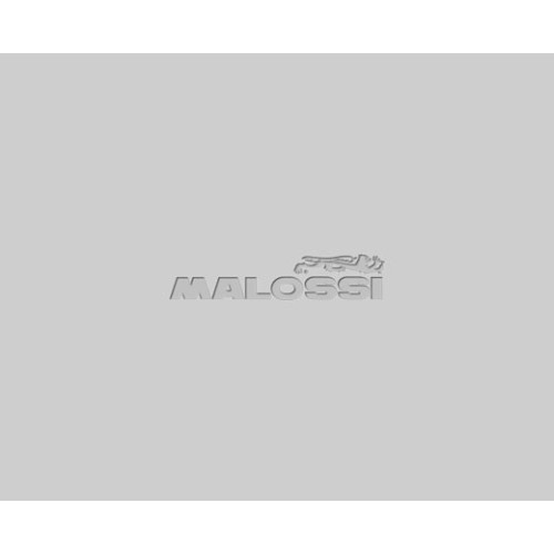 cigenal malossi mhr team motor minarelli 5317827