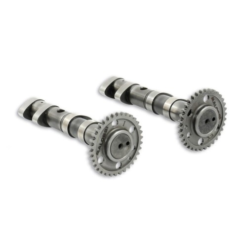 arbol de levas malossi power cam double yamaha t m 5915981