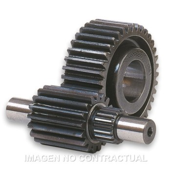 desarrollo secundario htq 15 47 dientes 6711445