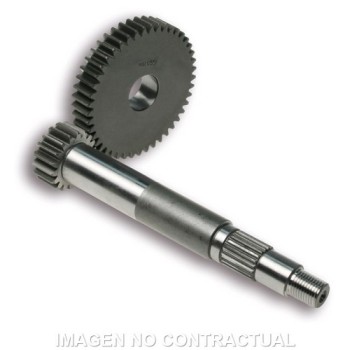 desarrollo primario malossi piaggio typhoon 125 6711492