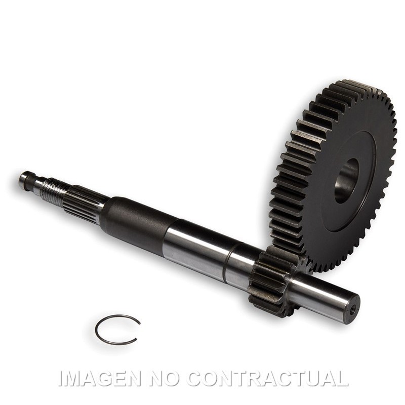desarrollo primario largo gilera dna 6711602